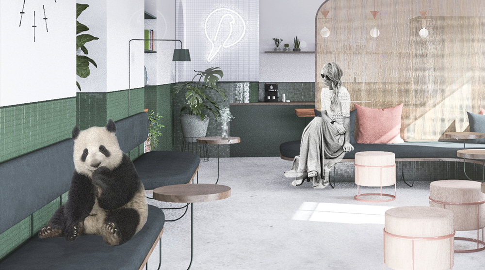 Urban Zoo Coworking Design Challenge